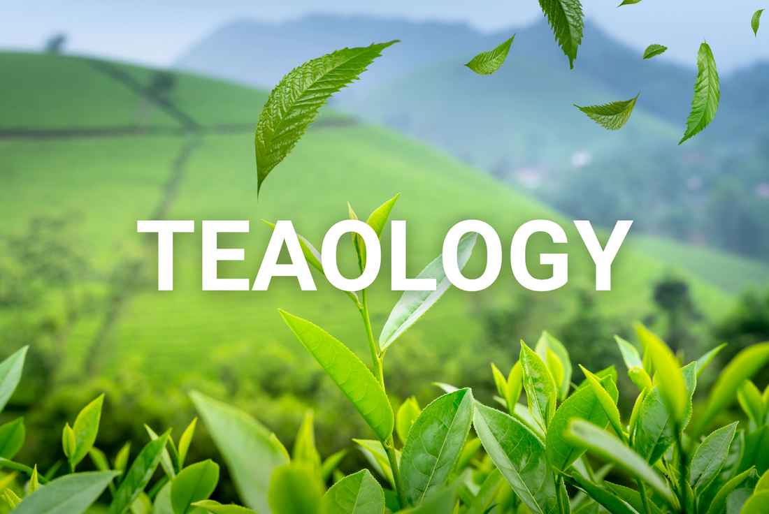 Teaology - Huidverzorging met de Kracht van Thee