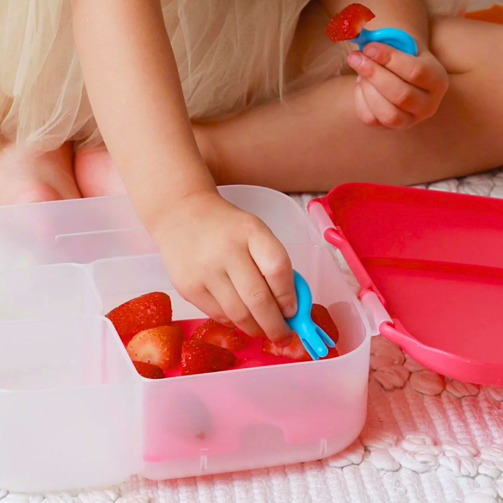 Brooddoos Accessoires