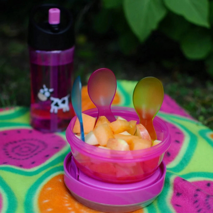 Snackbox met koelschijf