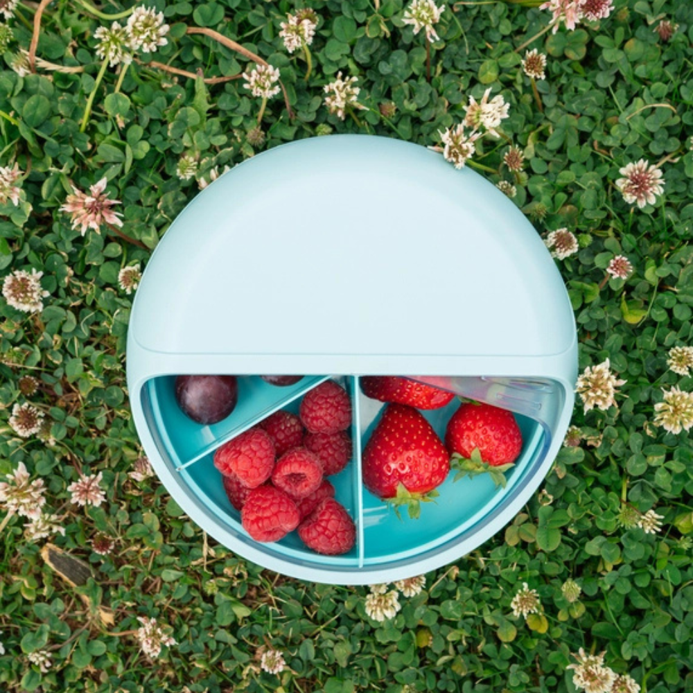 Snackdisc