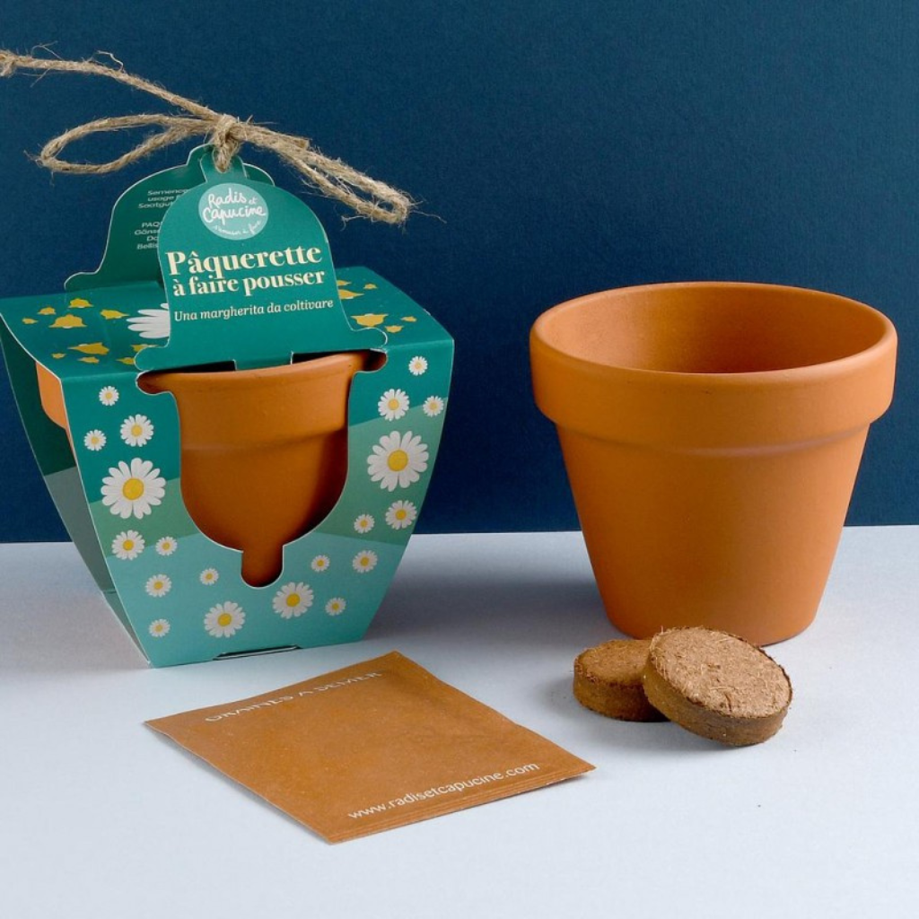 Terracotta mini kit - Madeliefjes