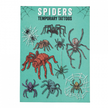 Spiders