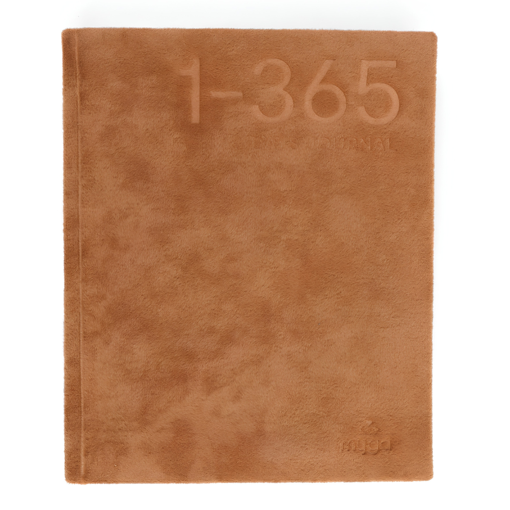 365 days Journal