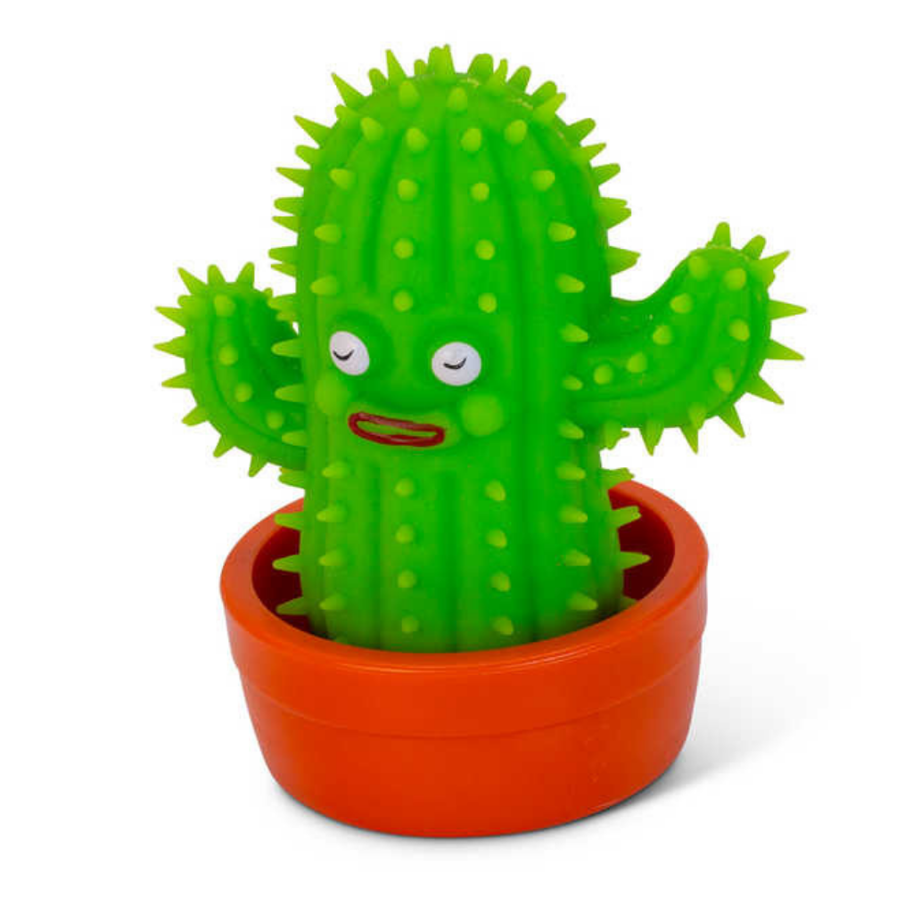 Stretchies Cactus