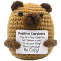 Positief Knuffeltje met Boodschap