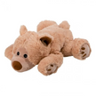 Teddy