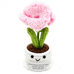 Positief Knuffeltje met Boodschap
