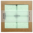 Eucalyptus