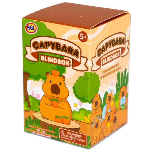 Capibara blind box