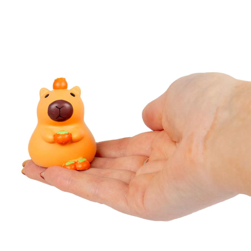 Capibara blind box