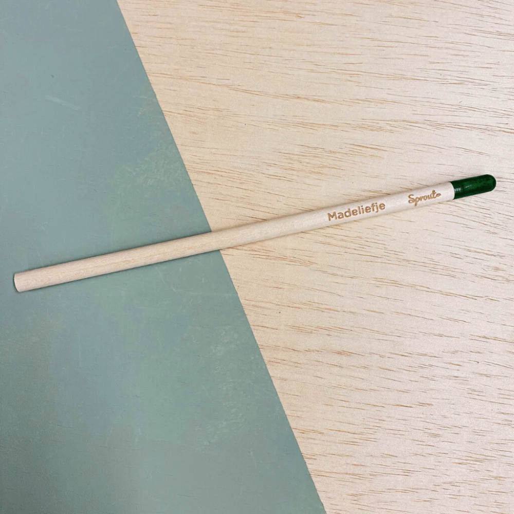 BLOOM - Bloeipotlood