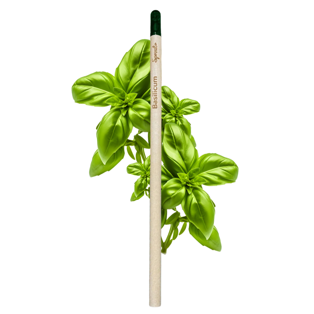 BLOOM - Bloeipotlood