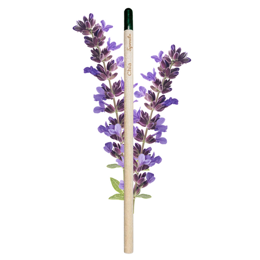 BLOOM - Bloeipotlood