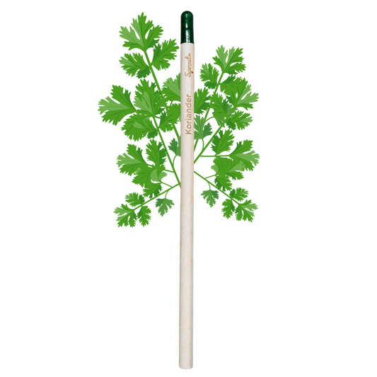 BLOOM - Bloeipotlood