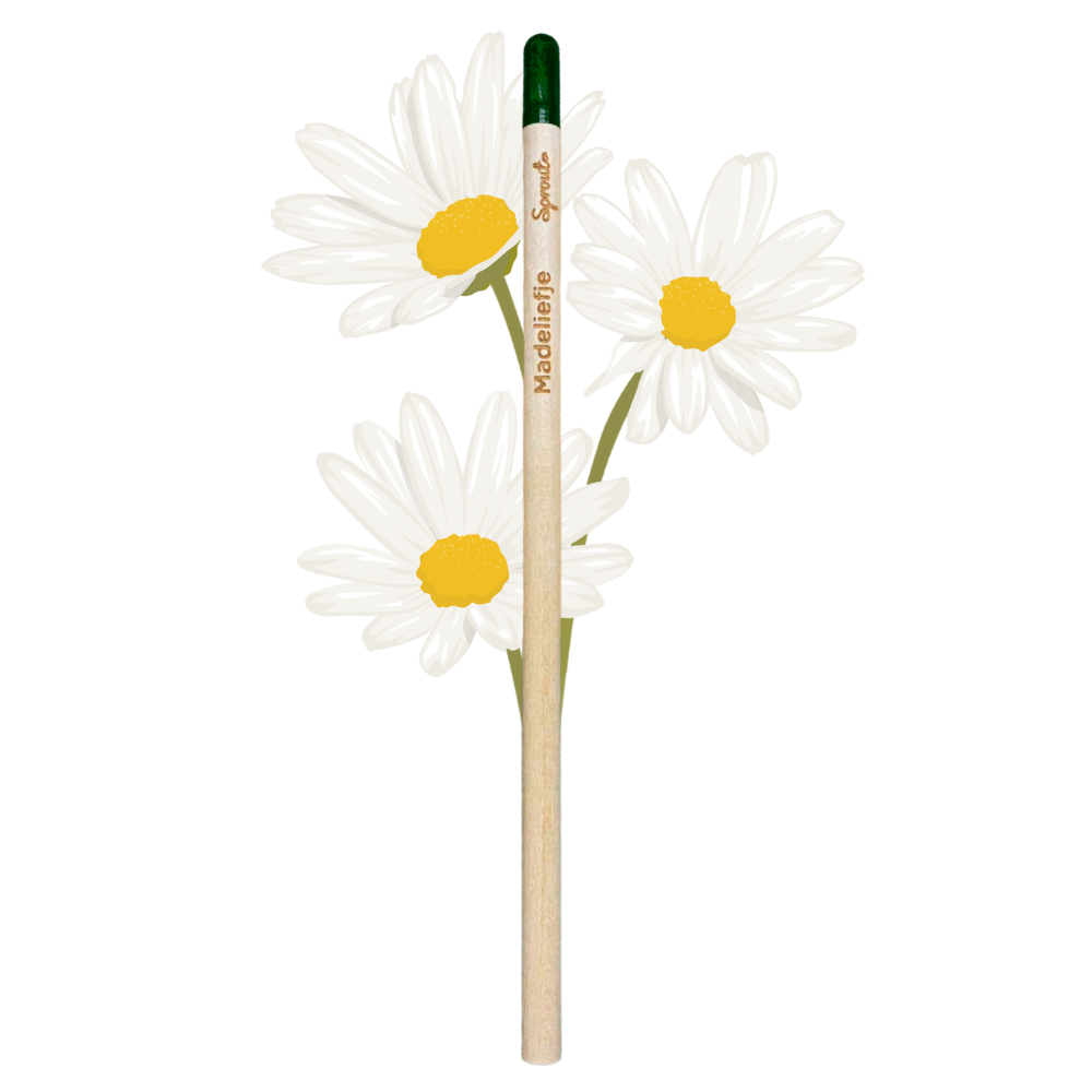 BLOOM - Bloeipotlood