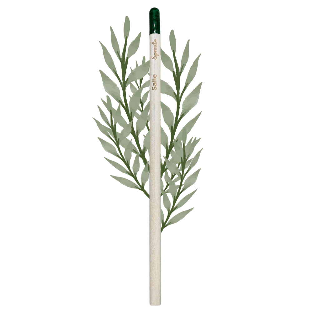 BLOOM - Bloeipotlood