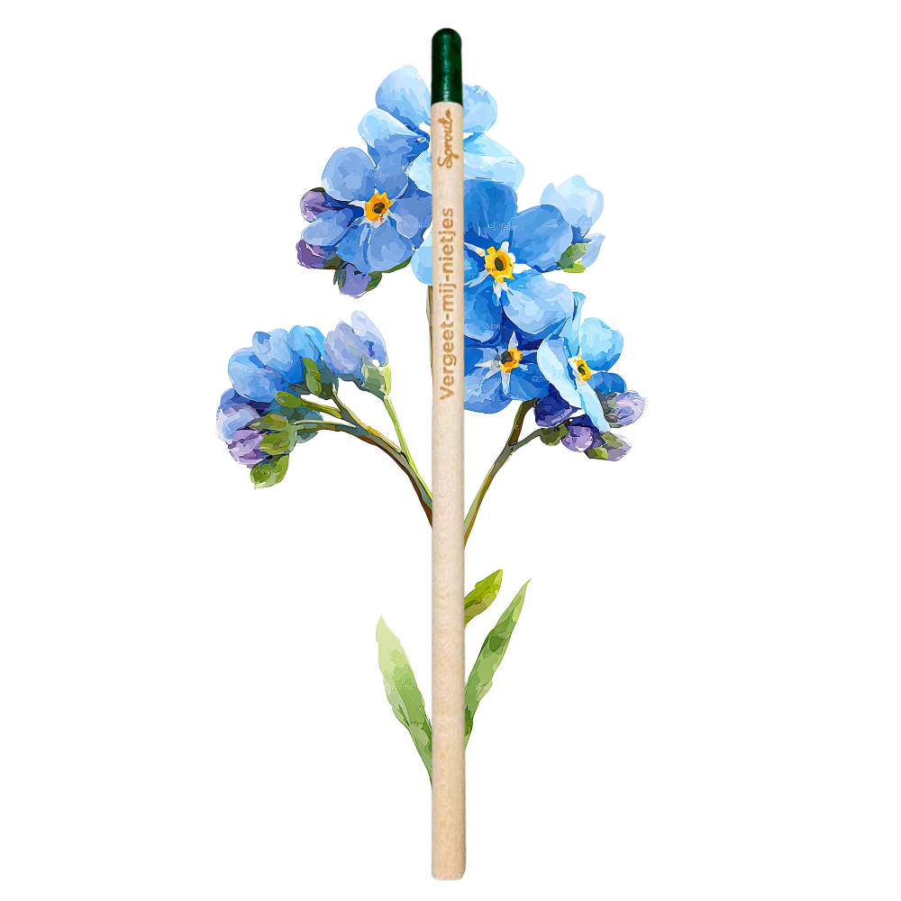 BLOOM - Bloeipotlood