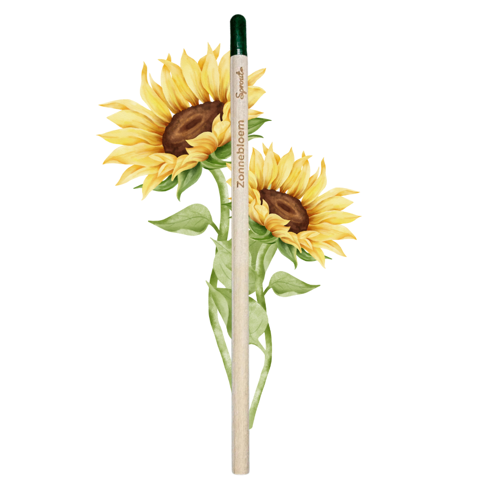 BLOOM - Bloeipotlood