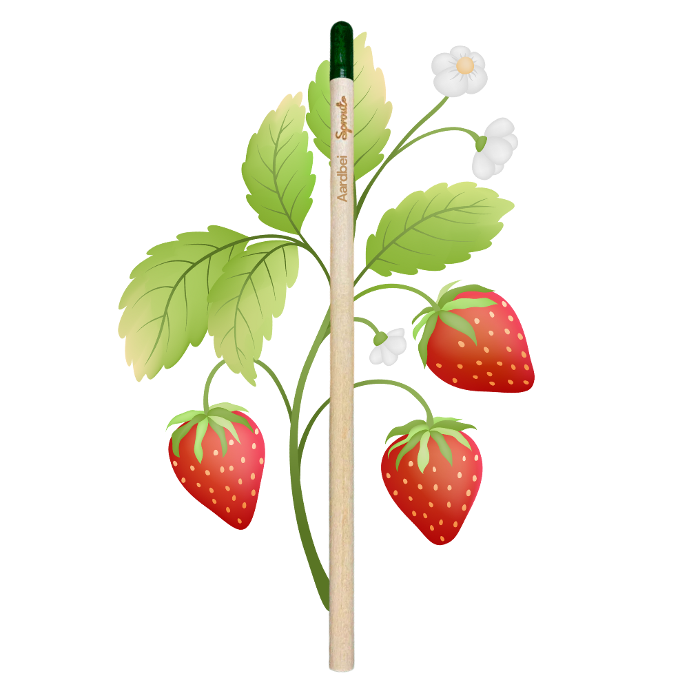 BLOOM - Bloeipotlood