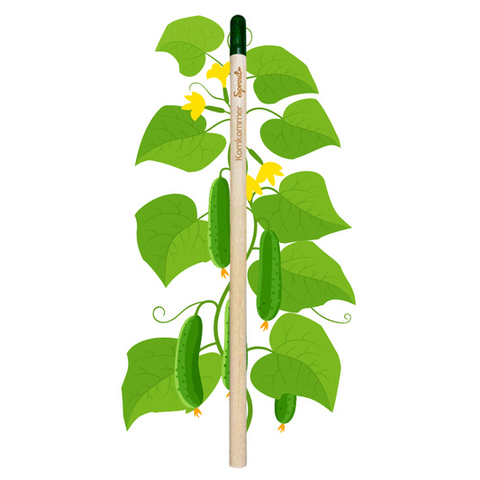 BLOOM - Bloeipotlood