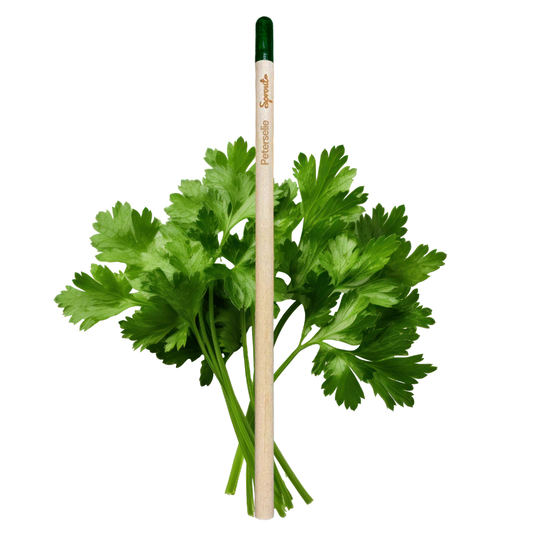 BLOOM - Bloeipotlood