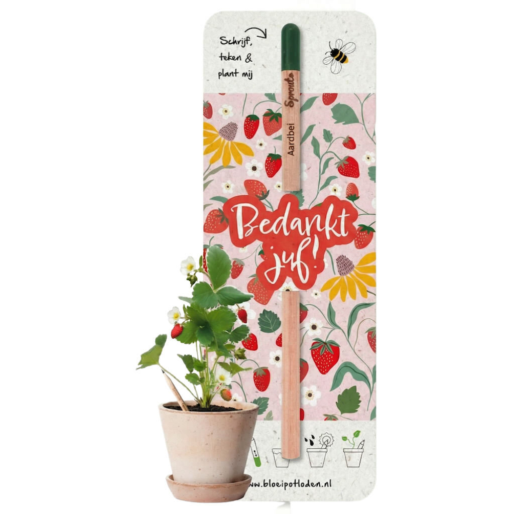 Bloeipotlood geschenkverpakking (ZONDER potlood)