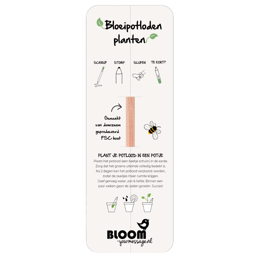 Bloeipotlood geschenkverpakking (ZONDER potlood)