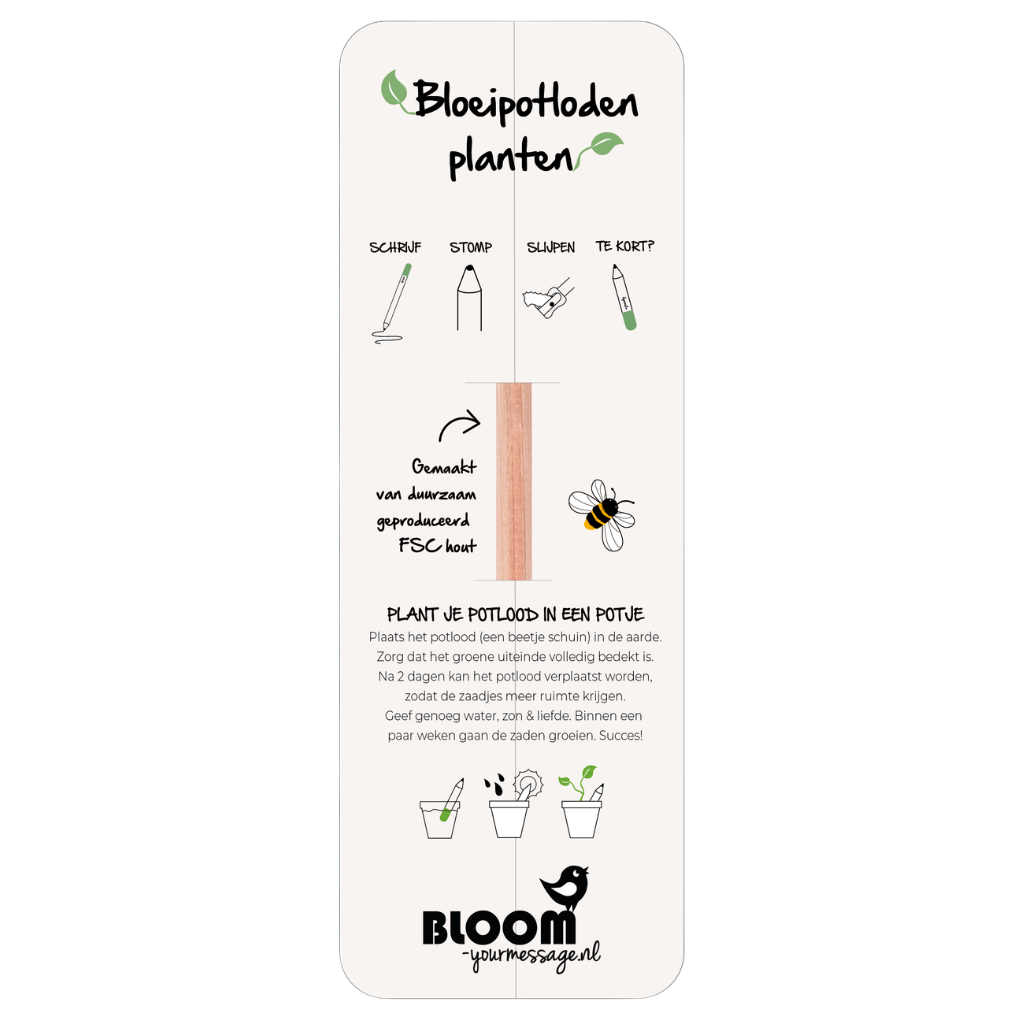 Bloeipotlood geschenkverpakking (ZONDER potlood)