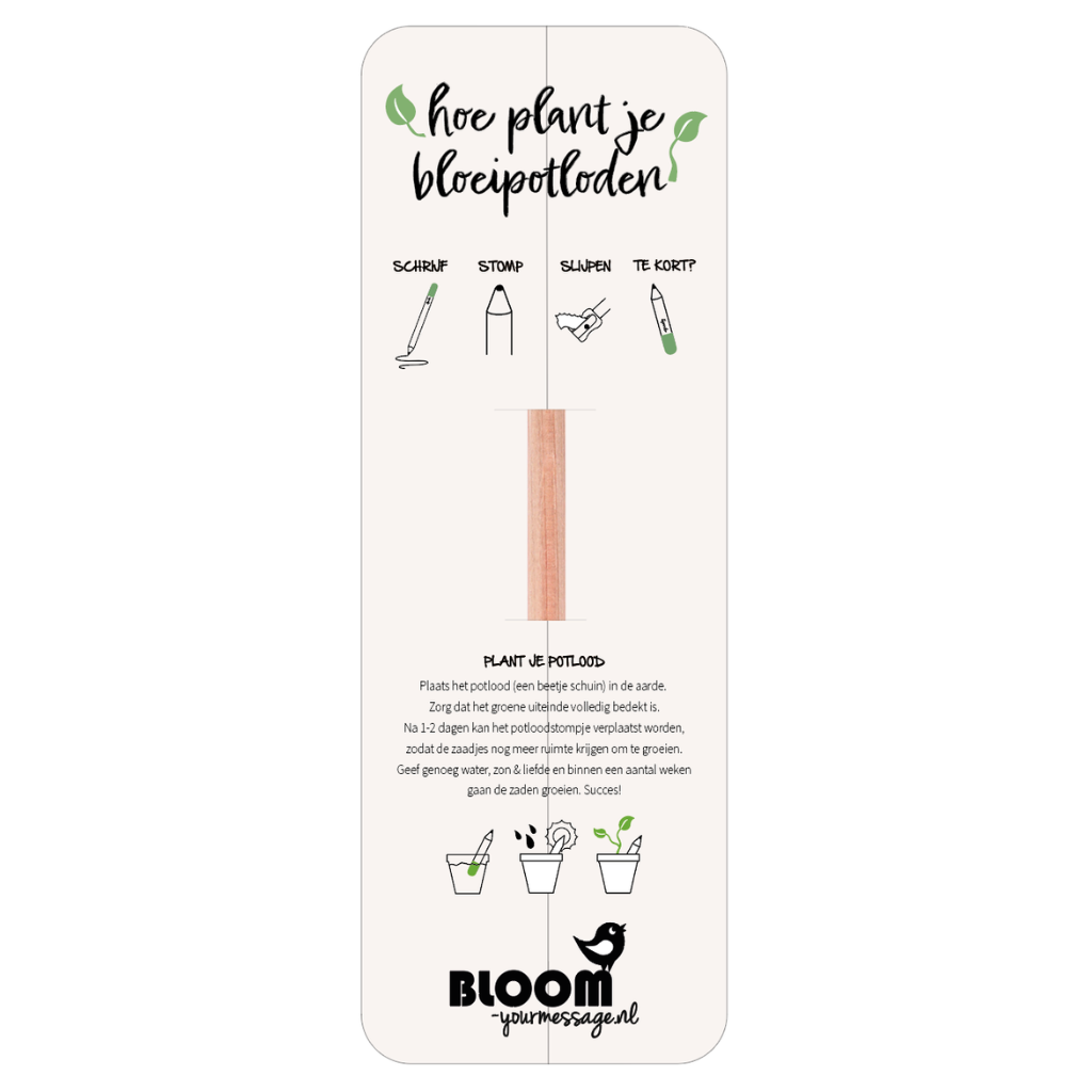 Bloeipotlood geschenkverpakking (ZONDER potlood)