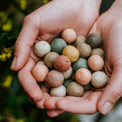 Blossombs bloembommetjes - Bedankt voor het superfijne schooljaar