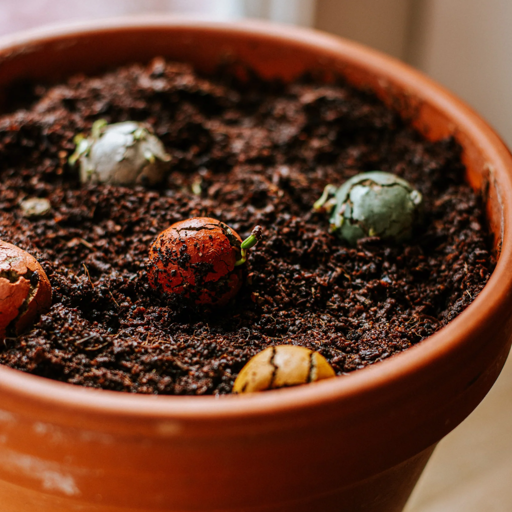 Blossombs bloembommetjes - Bedankt voor het superfijne schooljaar