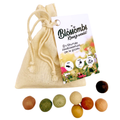 Blossomb bloembommetjes