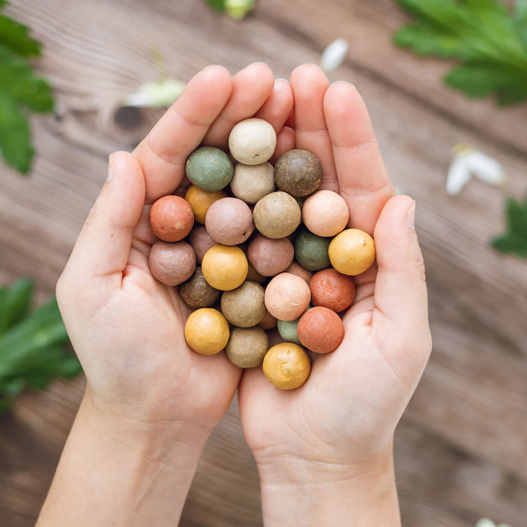 Blossombs bloembommetjes grow kit - Bedankt voor het superfijne schooljaar