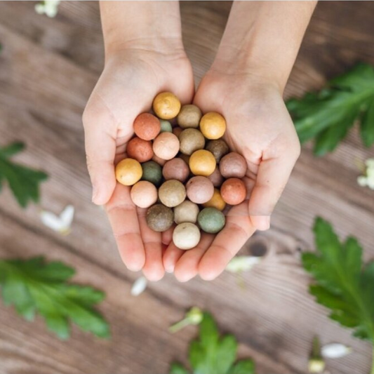 Blossomb bloembommetjes