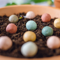 Blossomb bloembommetjes