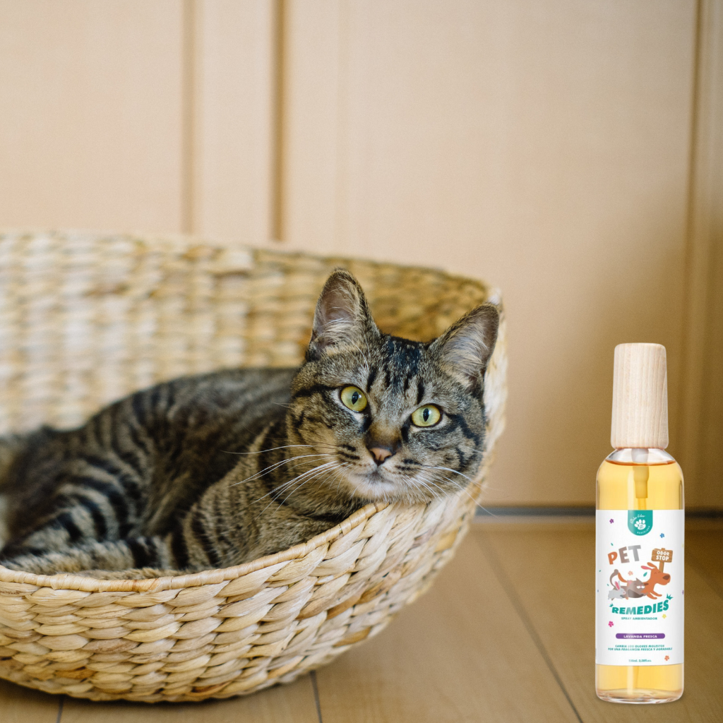 Boles d'olor - Pet Remedies Spray