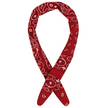 Red Paisley