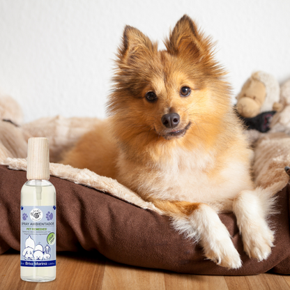 Boles d'olor - Pet Remedies Spray