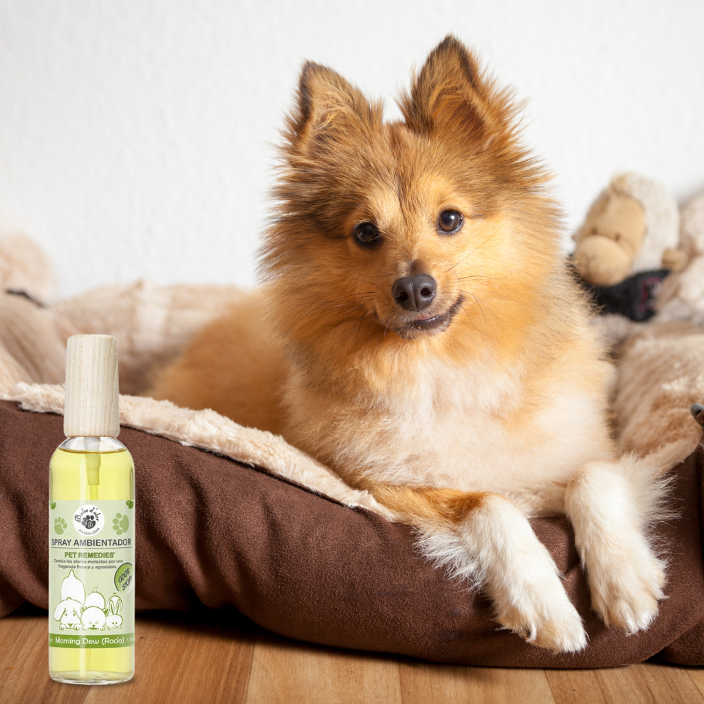 Boles d'olor - Pet Remedies Spray