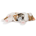 Cosy Plush Family - 4-delige set