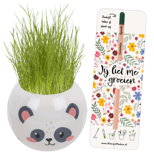 Grass hoofd safari + GRATIS Bloeipotlood & sleeve
