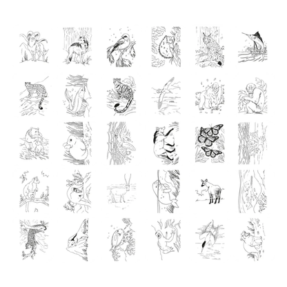KIDYDRAW PAD - Verlichte tekentafel