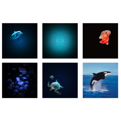 KIDYSTAR - Beeldprojector met 6 draaiende schijven