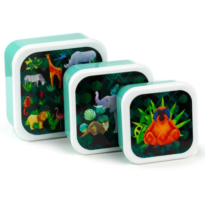 Lunch- en snackdoosjes (Set van 3) - Medium