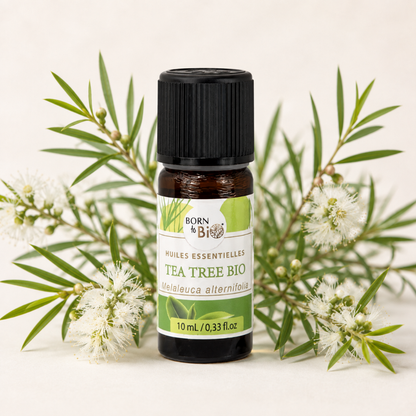 Biologische etherische olie (10ml)