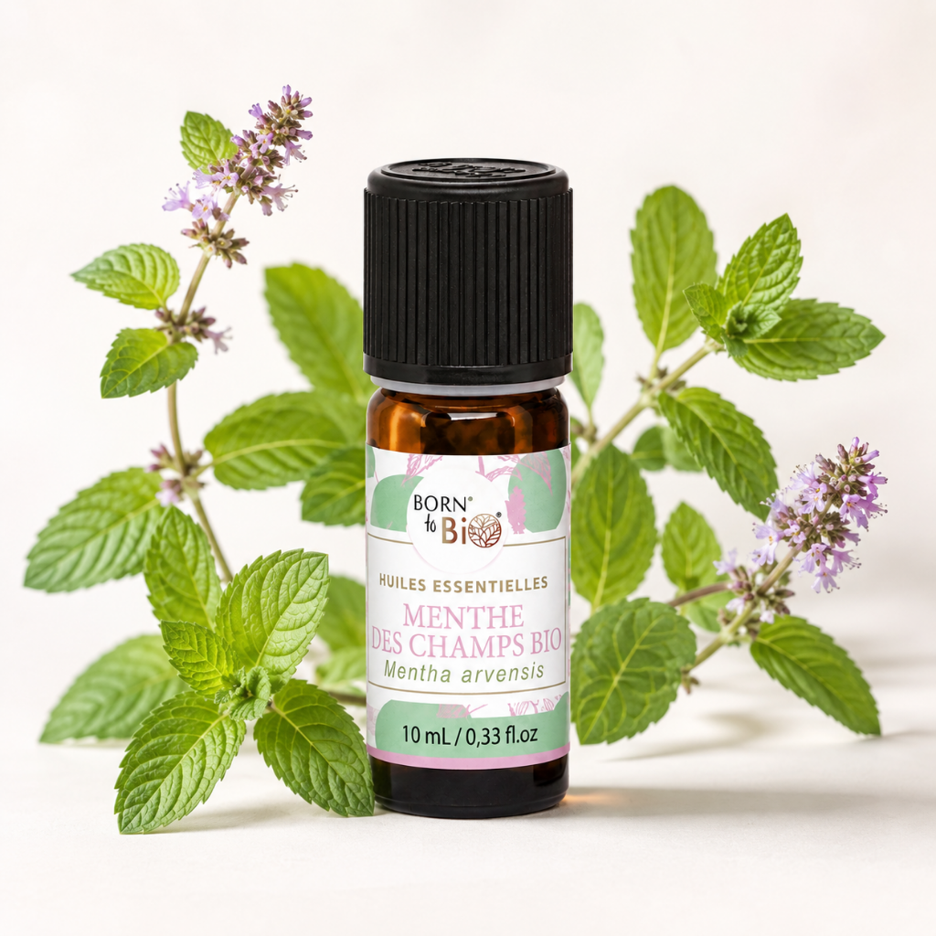 Biologische etherische olie (10ml)
