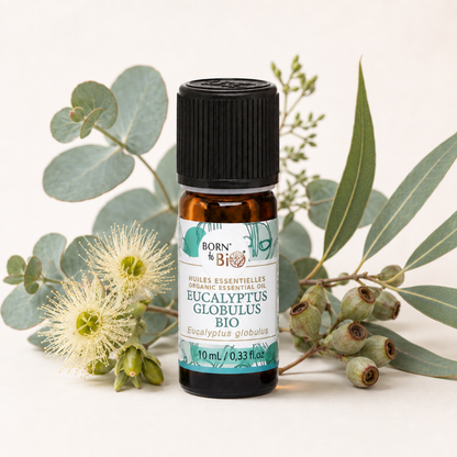 Biologische etherische olie (10ml)