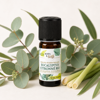Biologische etherische olie (10ml)