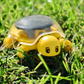 PhänoMINT solar schildpad