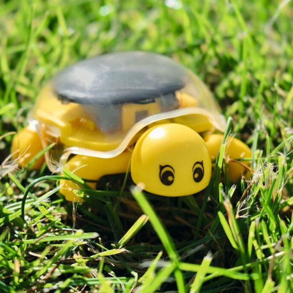PhänoMINT solar schildpad